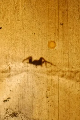 Póster de Bielefeld Lichtwerk