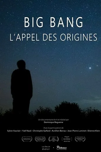 Póster de Big bang, l'appel des origines