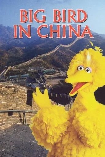 Póster de Big Bird in China