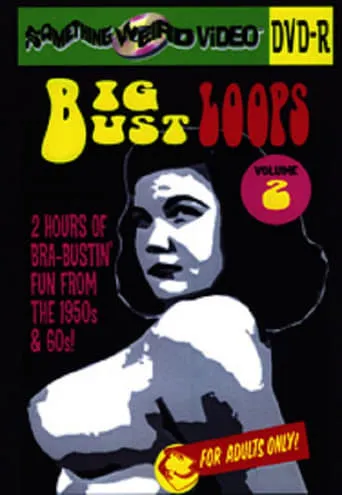 Póster de Big Bust Loops Volume 2