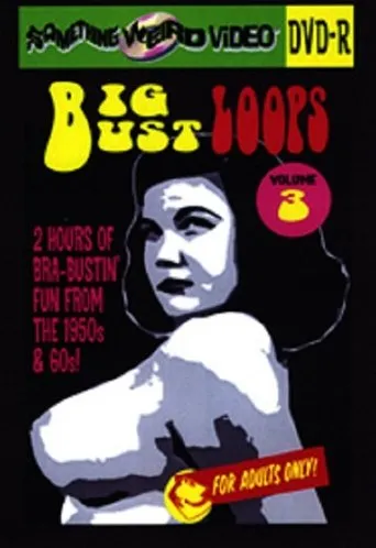 Póster de Big Bust Loops Volume 3