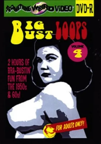 Póster de Big Bust Loops Volume 4