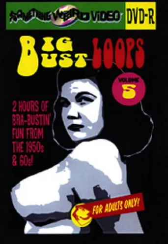 Póster de Big Bust Loops Volume 5