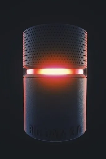 Póster de Big Data L1ZY