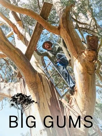 Póster de Big Gums