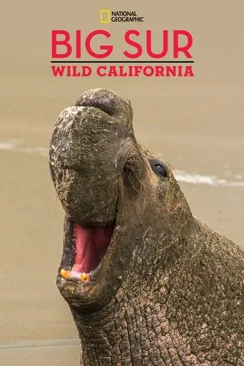 Póster de Big Sur-Wild California