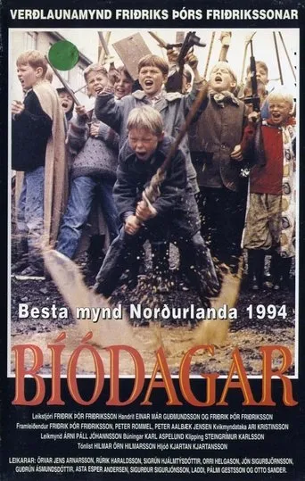 Póster de Bíódagar