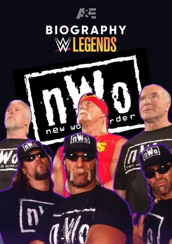 Póster de Biography: nWo