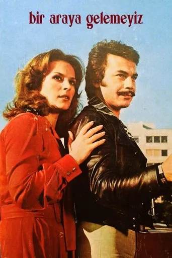 Póster de Bir Araya Gelemeyiz