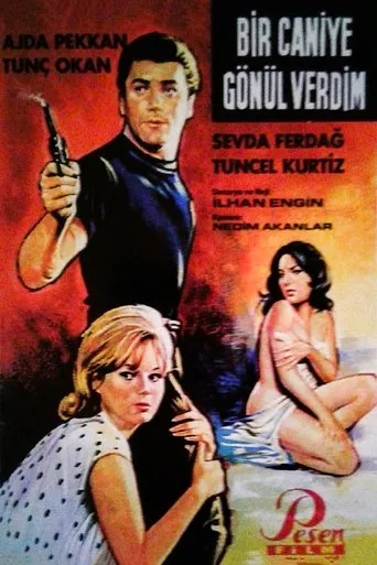 Póster de Bir Caniye Gönül Verdim