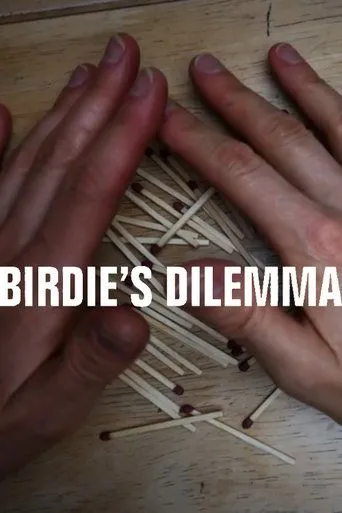 Póster de Birdie's Dilemma