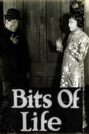 Póster de Bits of Life