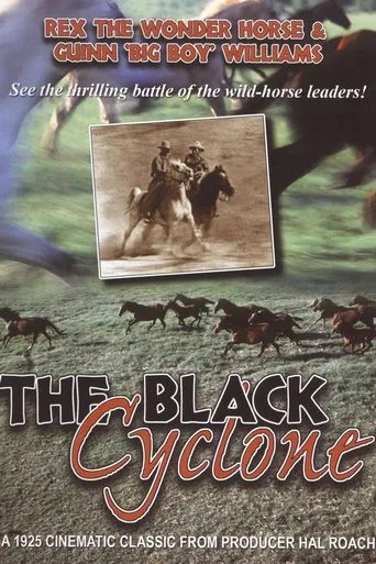 Póster de Black Cyclone