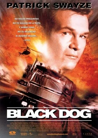 Póster de Black Dog