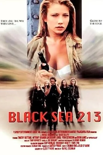 Póster de Black Sea 213