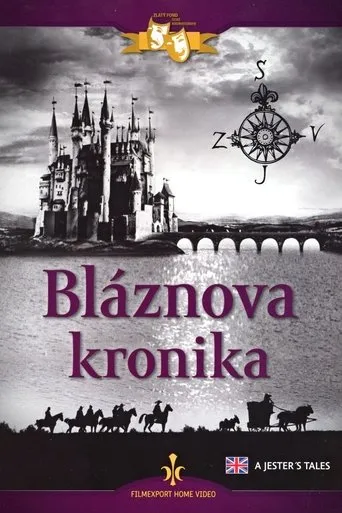 Póster de Bláznova kronika
