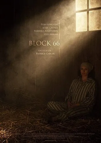 Póster de Block 66