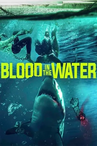 Póster de Blood in the Water