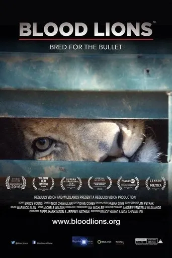 Póster de Blood Lions