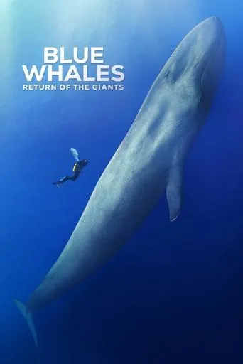 Póster de Blue Whales: Return of the Giants