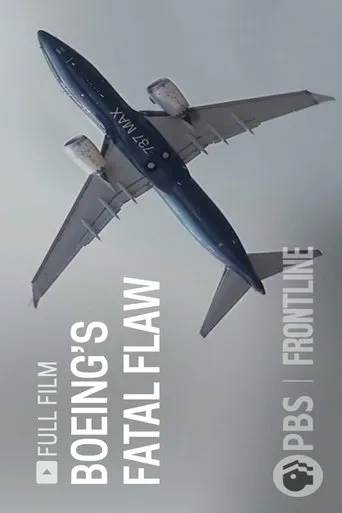 Póster de Boeing's Fatal Flaw