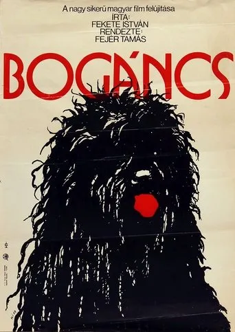 Póster de Bogáncs
