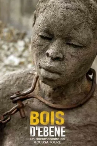 Póster de Bois d'ébène