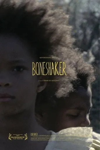 Póster de Boneshaker