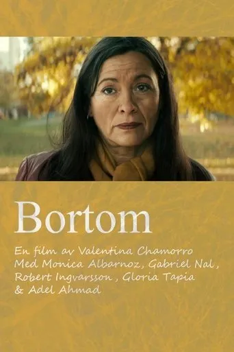 Póster de Bortom