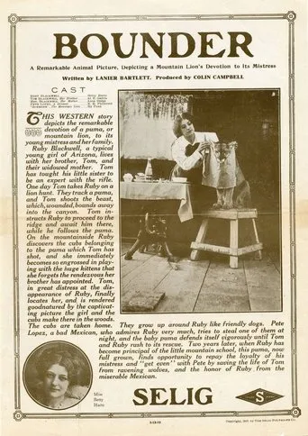Póster de Bounder