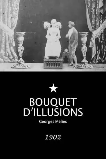 Póster de Bouquet d'illusions