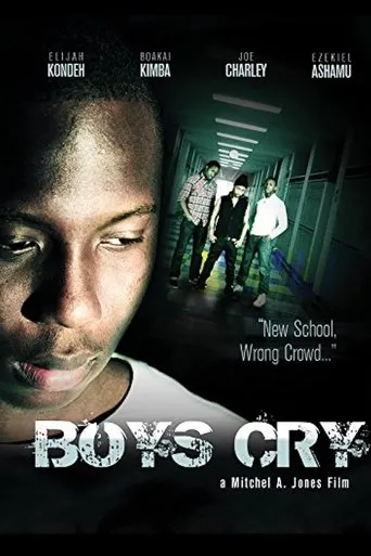 Póster de Boys Cry