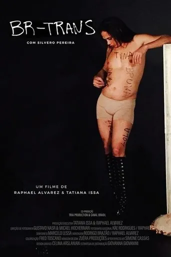 Póster de BR Trans