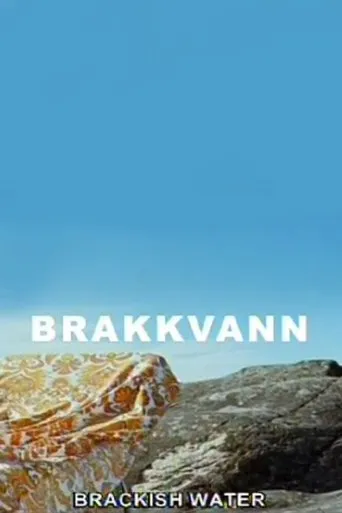 Póster de Brakkvann