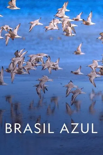 Póster de Brasil Azul