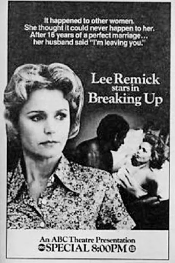 Póster de Breaking Up