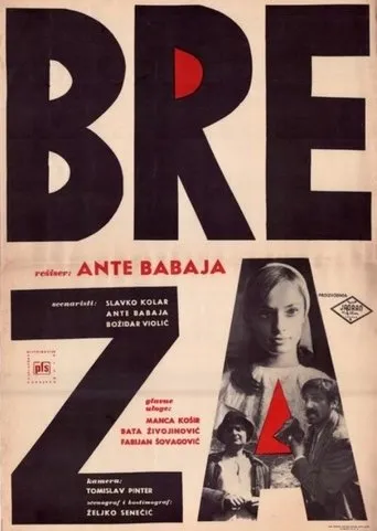 Póster de Breza