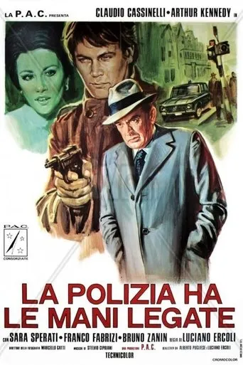 Póster de Brigada antidroga