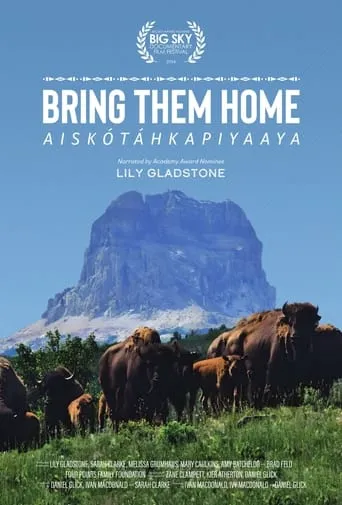 Póster de Bring Them Home