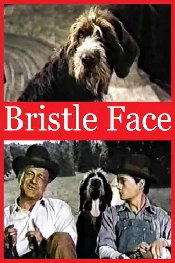 Póster de Bristle Face