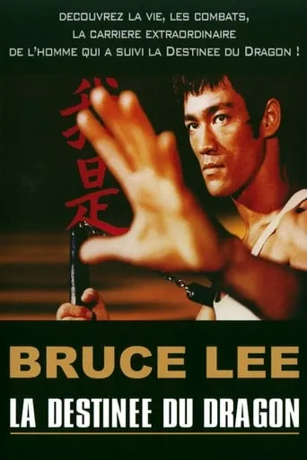 Póster de Bruce Lee - La Destinée du Dragon