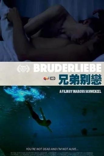 Póster de Bruderliebe