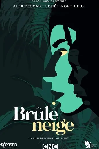 Póster de Brûlé neige