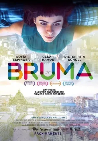 Póster de Bruma