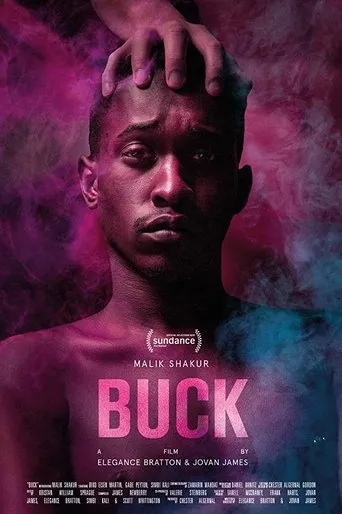 Póster de Buck