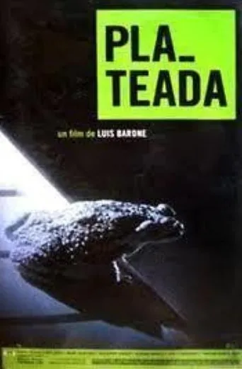 Póster de Buenos Aires plateada