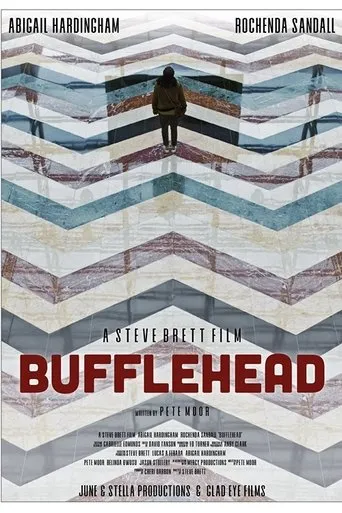 Póster de Bufflehead