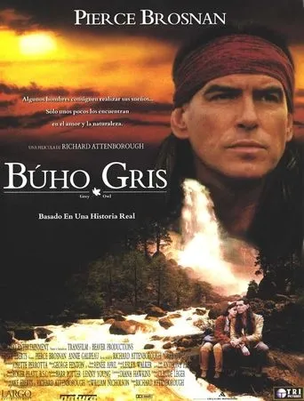 Póster de Búho Gris