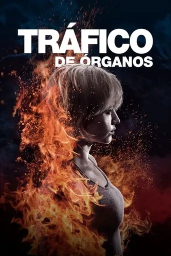 Póster de Burn It All
