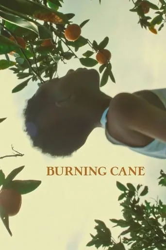 Póster de Burning Cane